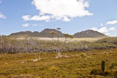 Au coeur du Hartz National Park