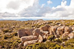 Pleine, sommet du mont Wellington
