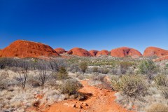 Kata Tjuta (mont Olgas)