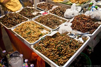 Insectes grillés marché Bangkok Thailande