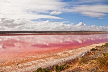 The Pink Lake Kalbarri WA Australie