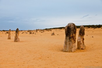 The Pinnacles WA Australie