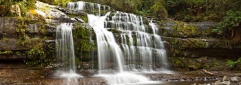 Panoramique Liffey falls, Tasmanie, Australie