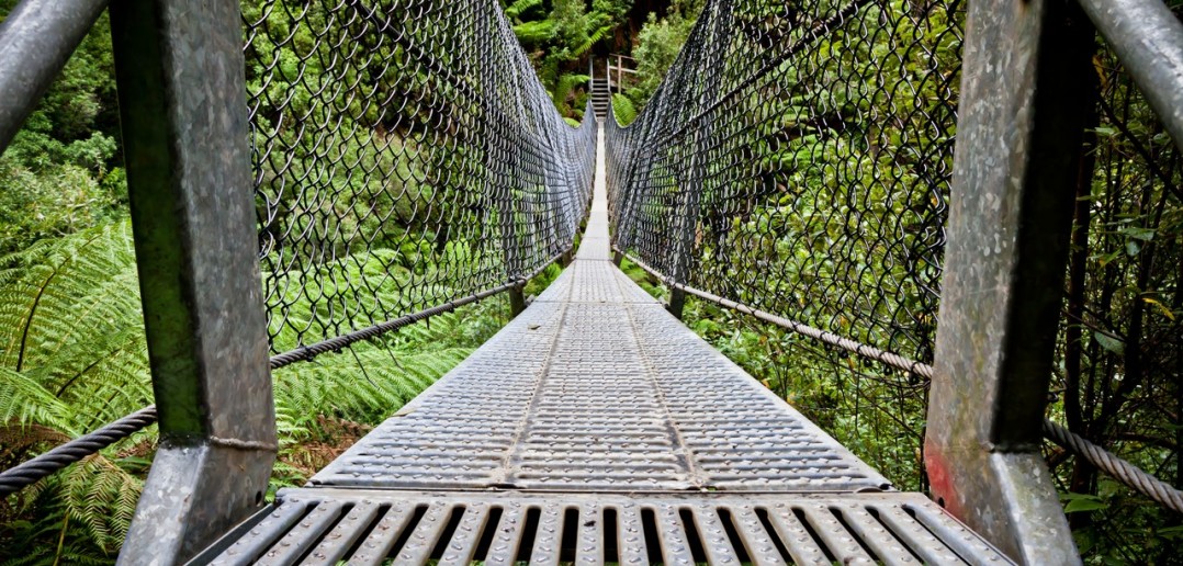 Pont suspendu Montezuma falls Tasmanie Australie