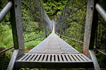 Pont suspendu Montezuma falls Tasmanie Australie