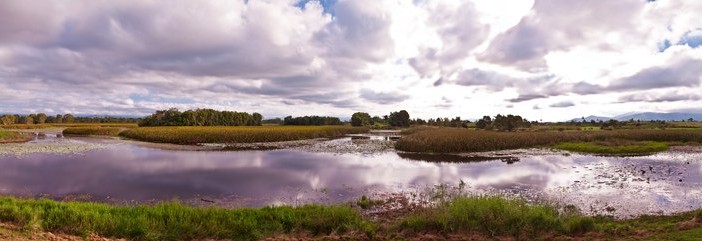Tyto Wetlands en panoramique